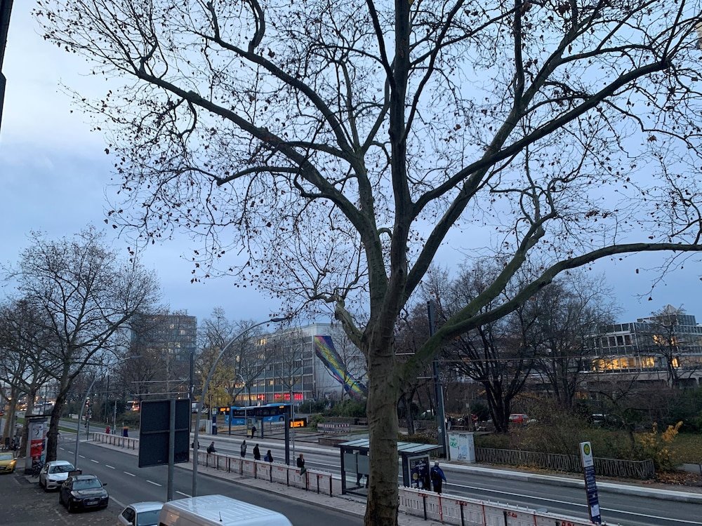 Фото Heidelberg Hospitality Boarding House