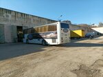 Vayt Elefant (улица Сельвинского, 108), bus transportation