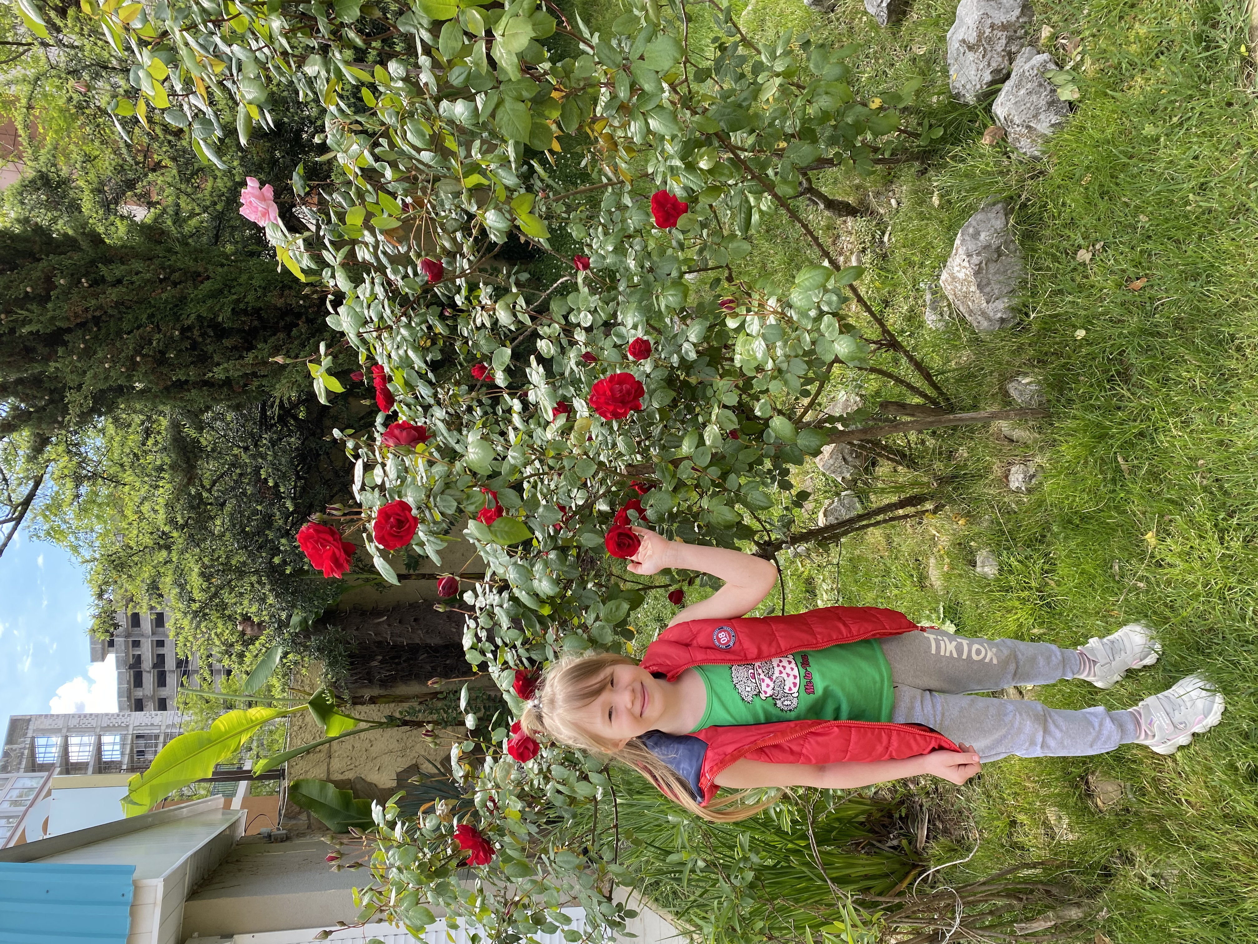 Фото ПримаВера