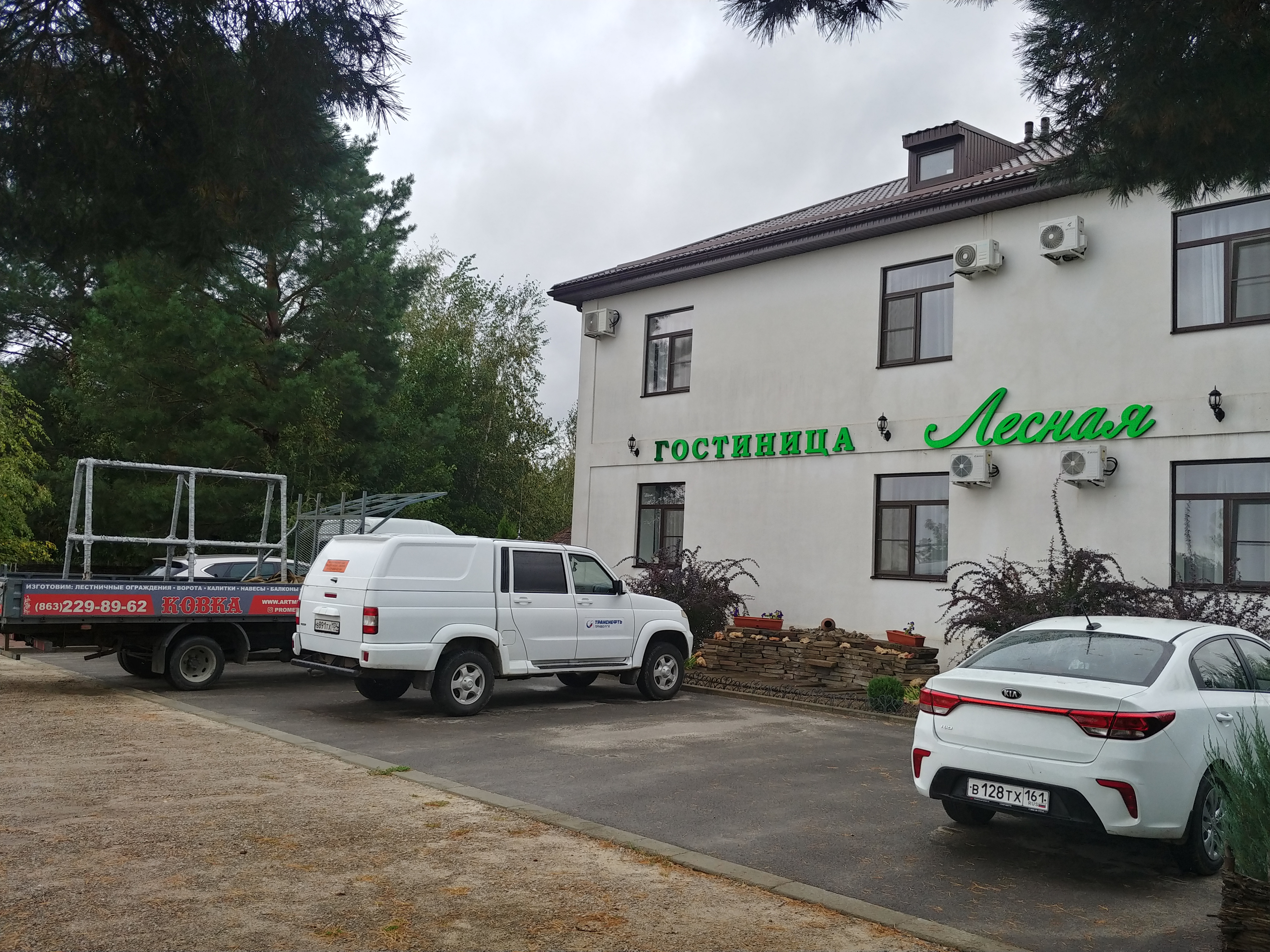 Фото Лесная