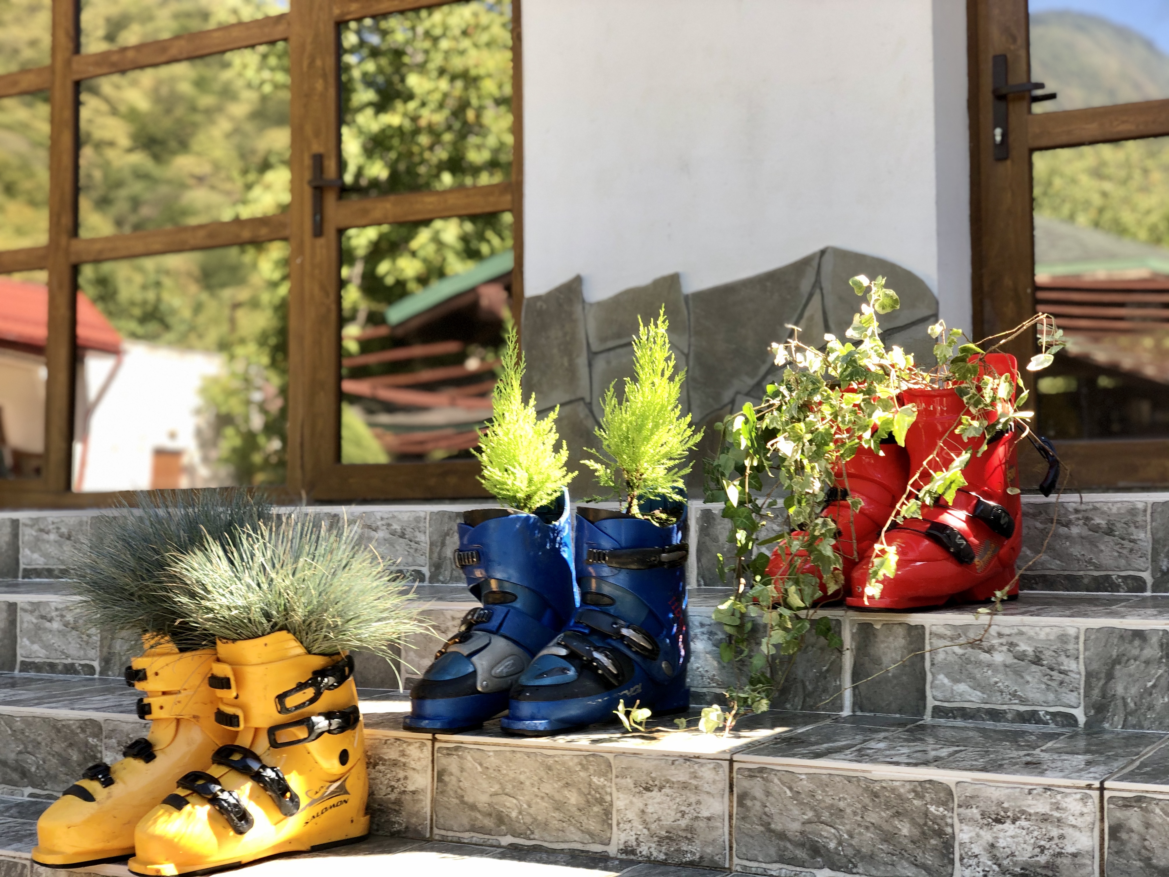 Фото Вертикаль