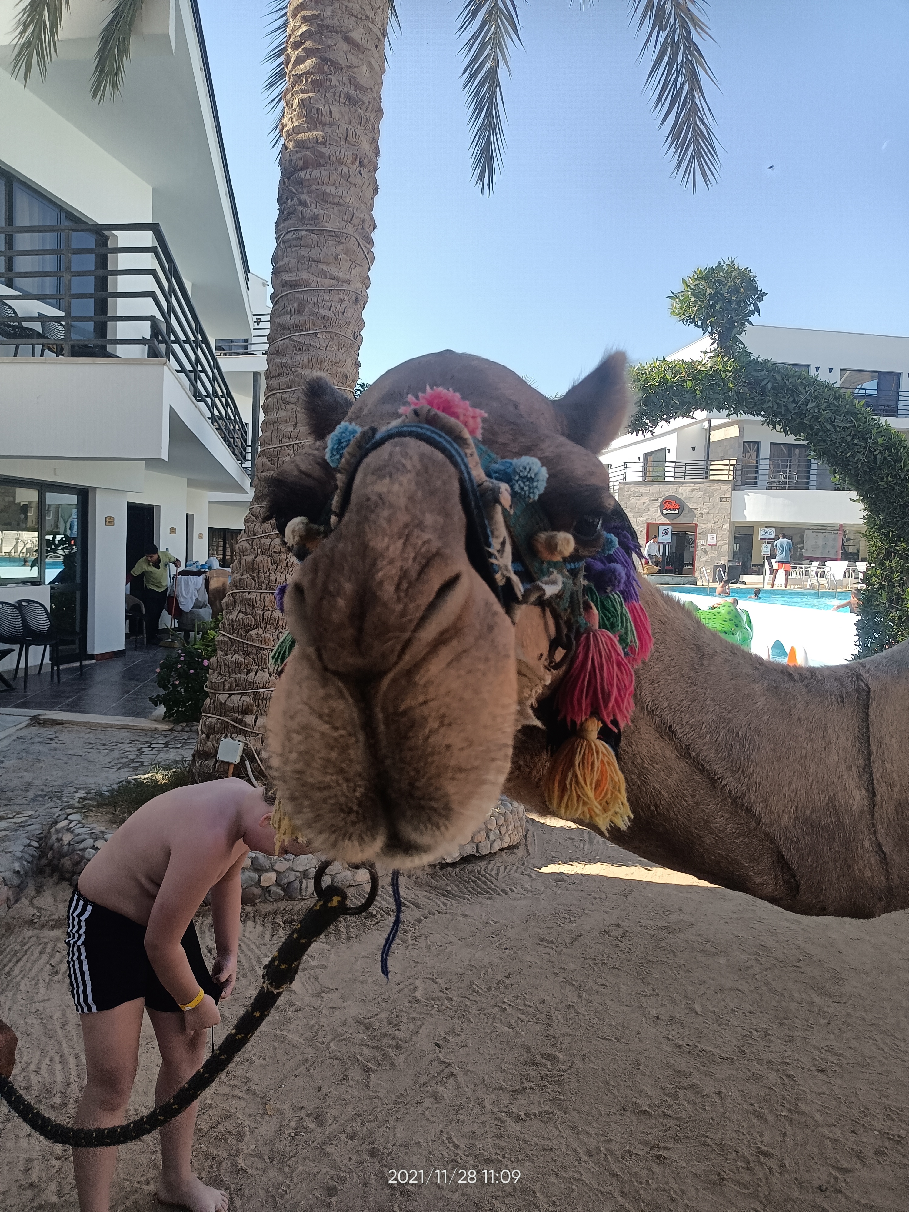 Фото La Rosa Waves Resort