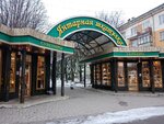 Yantarnaya shkatulka (Leninskiy Avenue, 33А) ، متجر مجوهرات