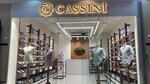 Cassini Shirt (İstanbul, Güngören, Mehmet Nesih Özmen Mah., Güldalı Sok., 13C), tienda de ropa