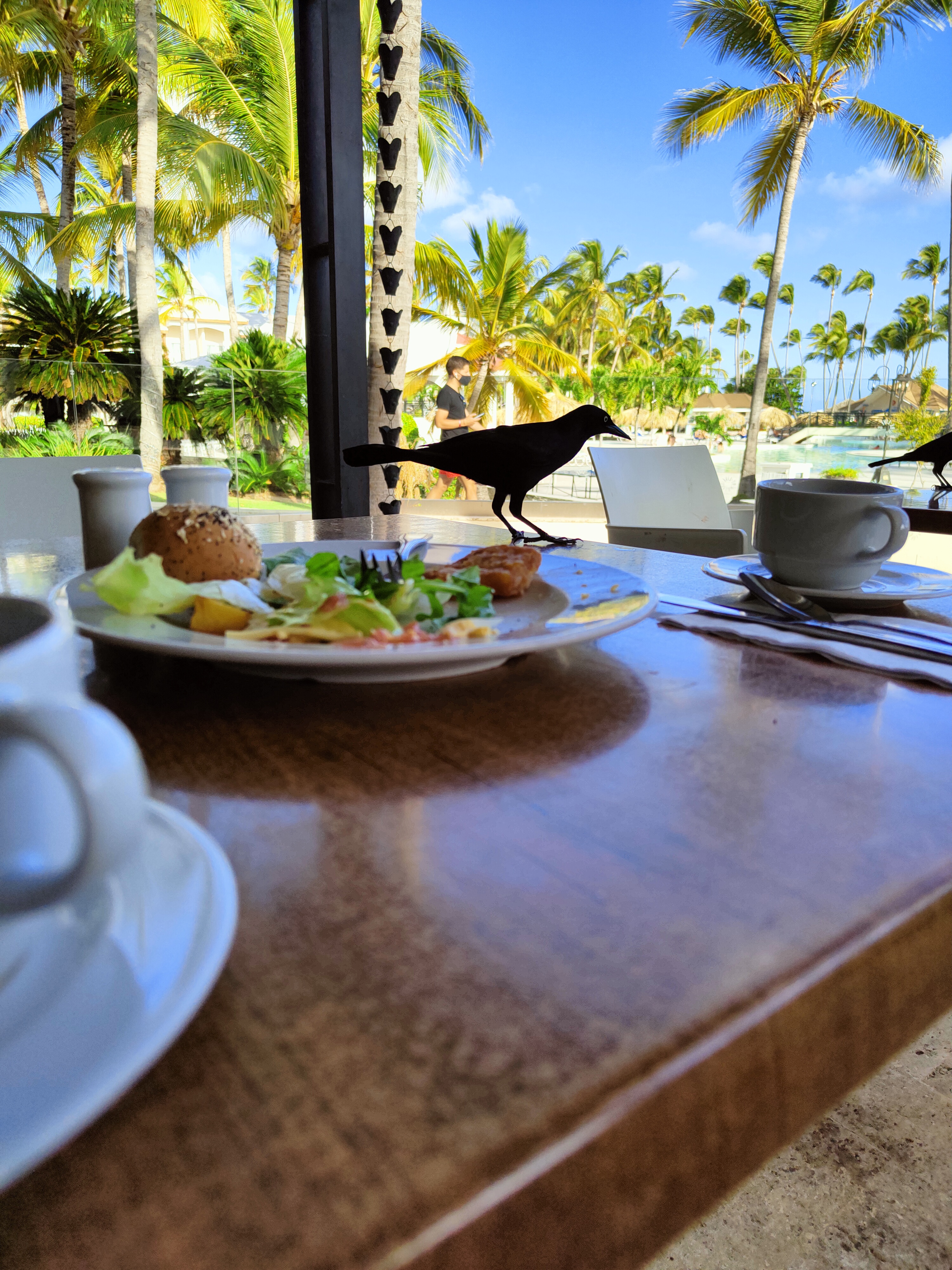 Фото Be Live Collection Punta Cana