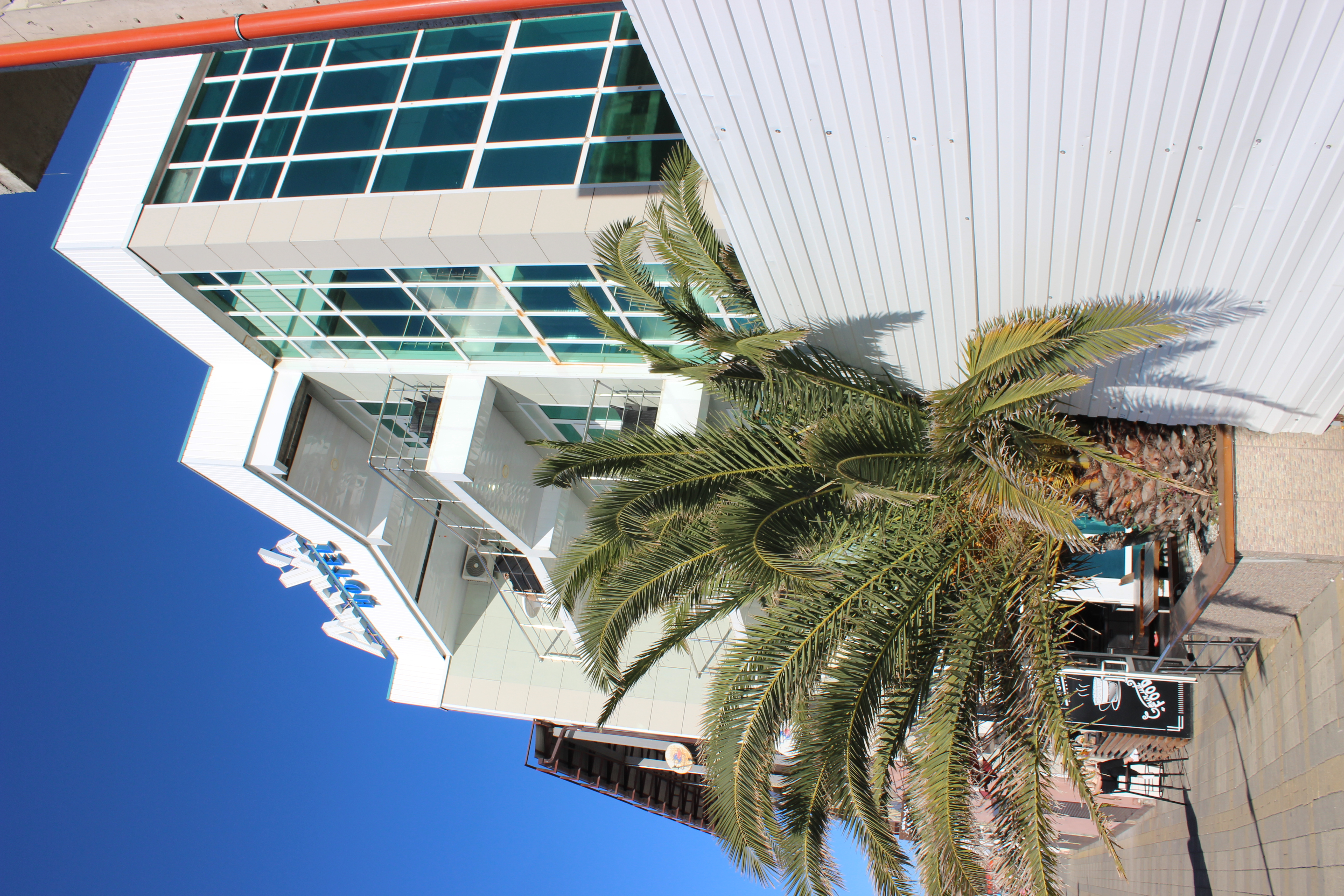 Фото Аррива