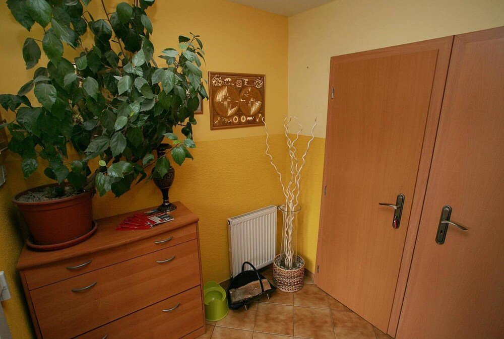 Фото Apartments Villa Ivica