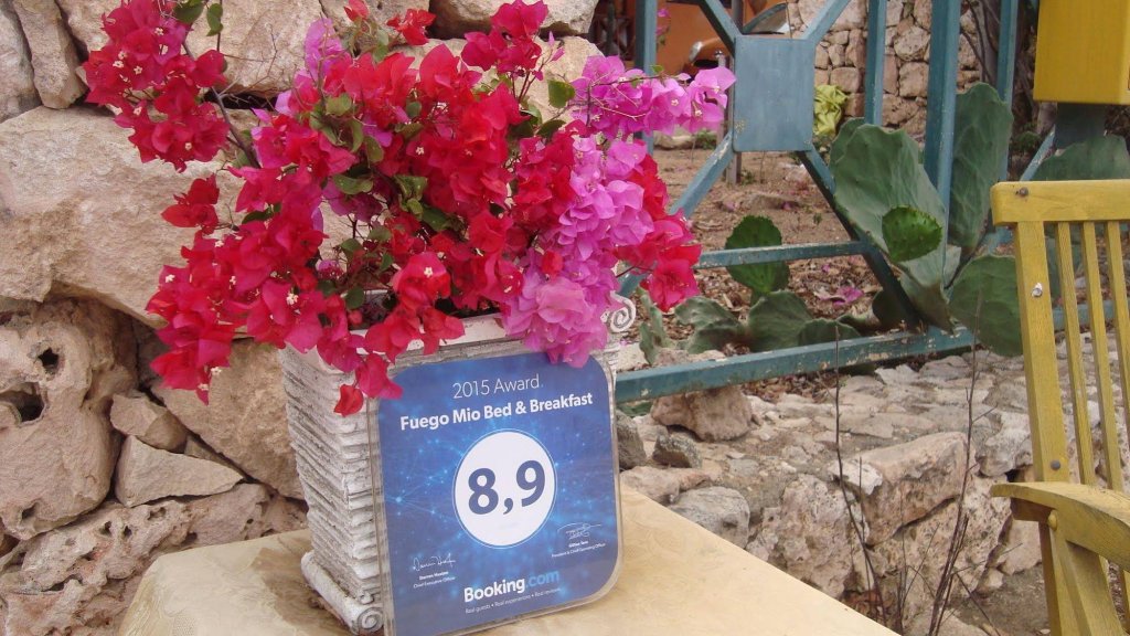 Фото Fuego Mio Bed & Breakfast