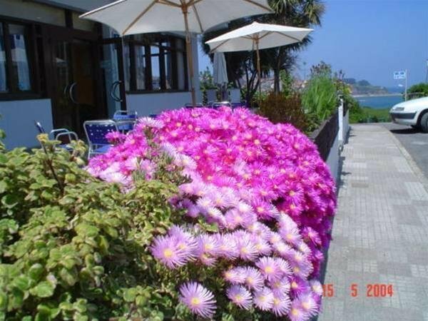 Hotel Hotel Los Laureles, Principality of Asturias, photo