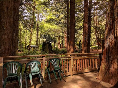 Гостиница Emerald Forest Cabins