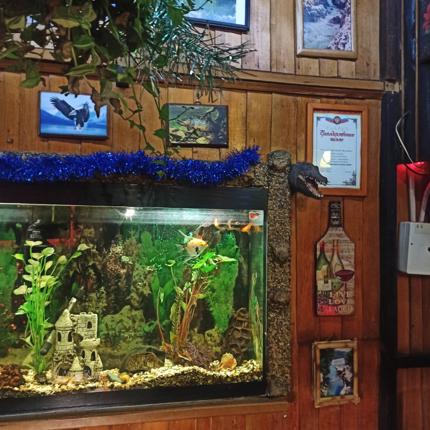 Фото Беловодие