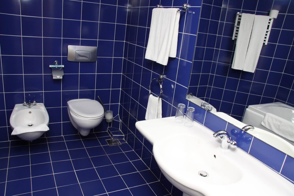 Фото Hotel Lilia