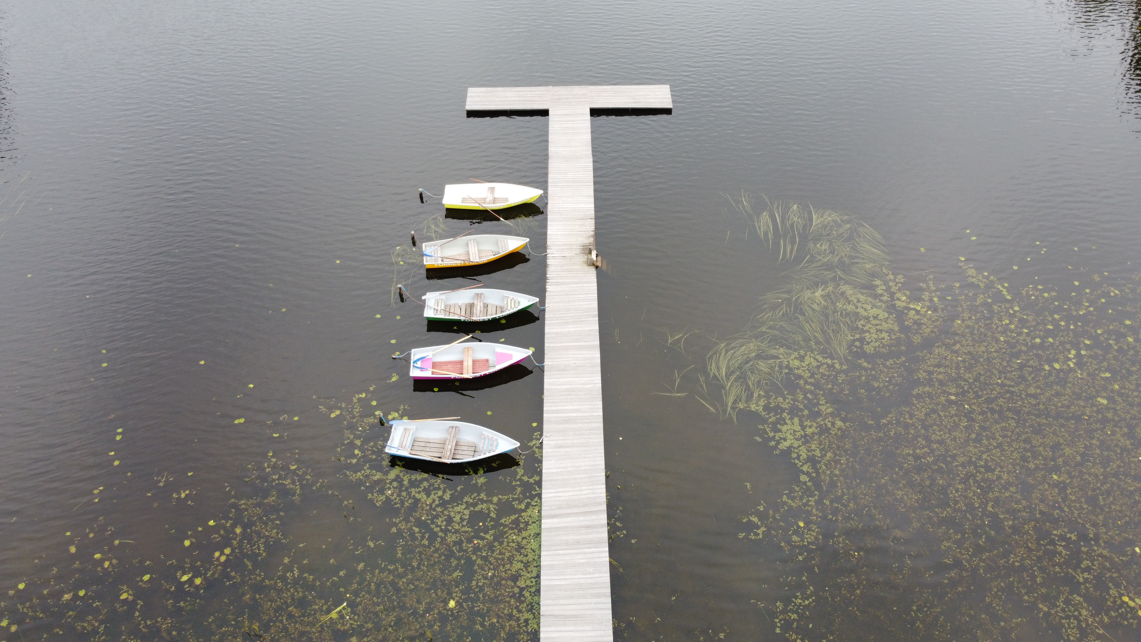 Фото Forrest Lodge Karelia
