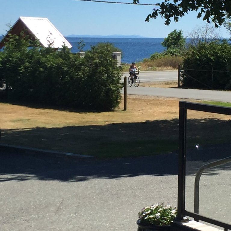 Фото Driftwood by the Sea Inn and Rv Resort