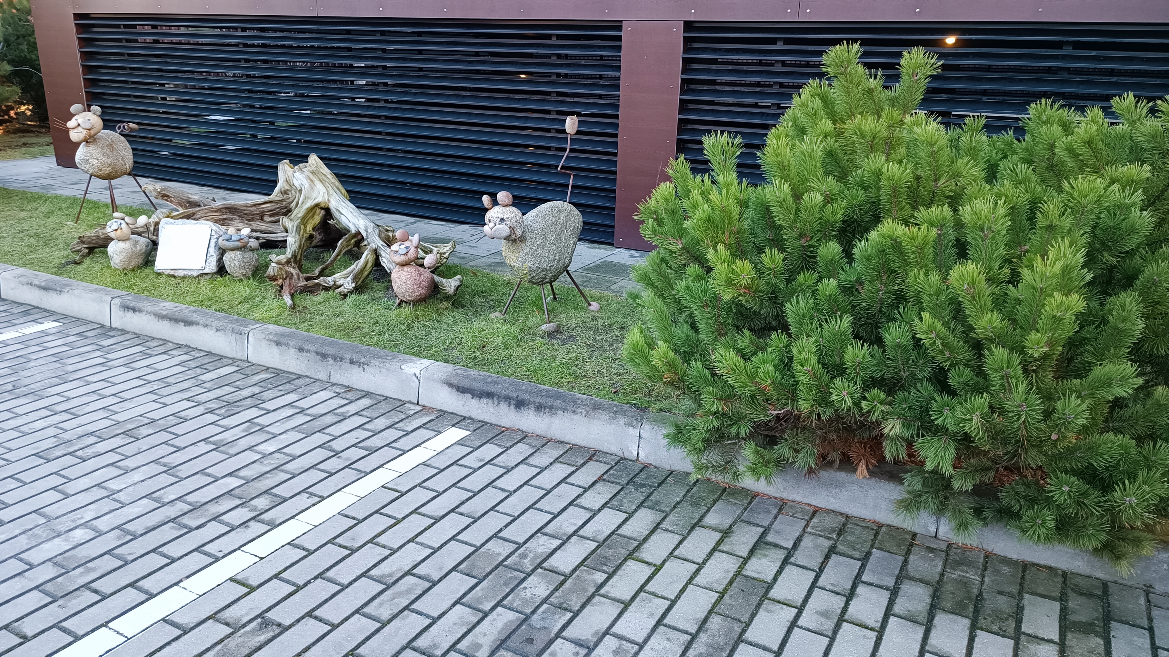 Фото Параdox