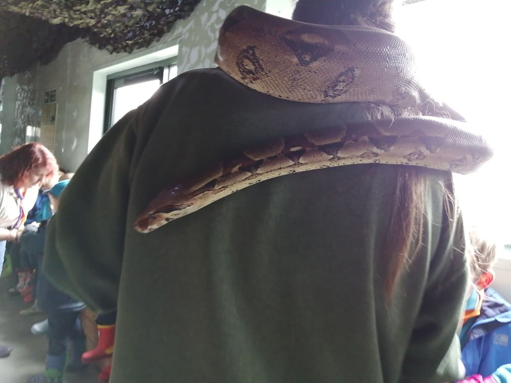 Фото Colin Grazier Hotel