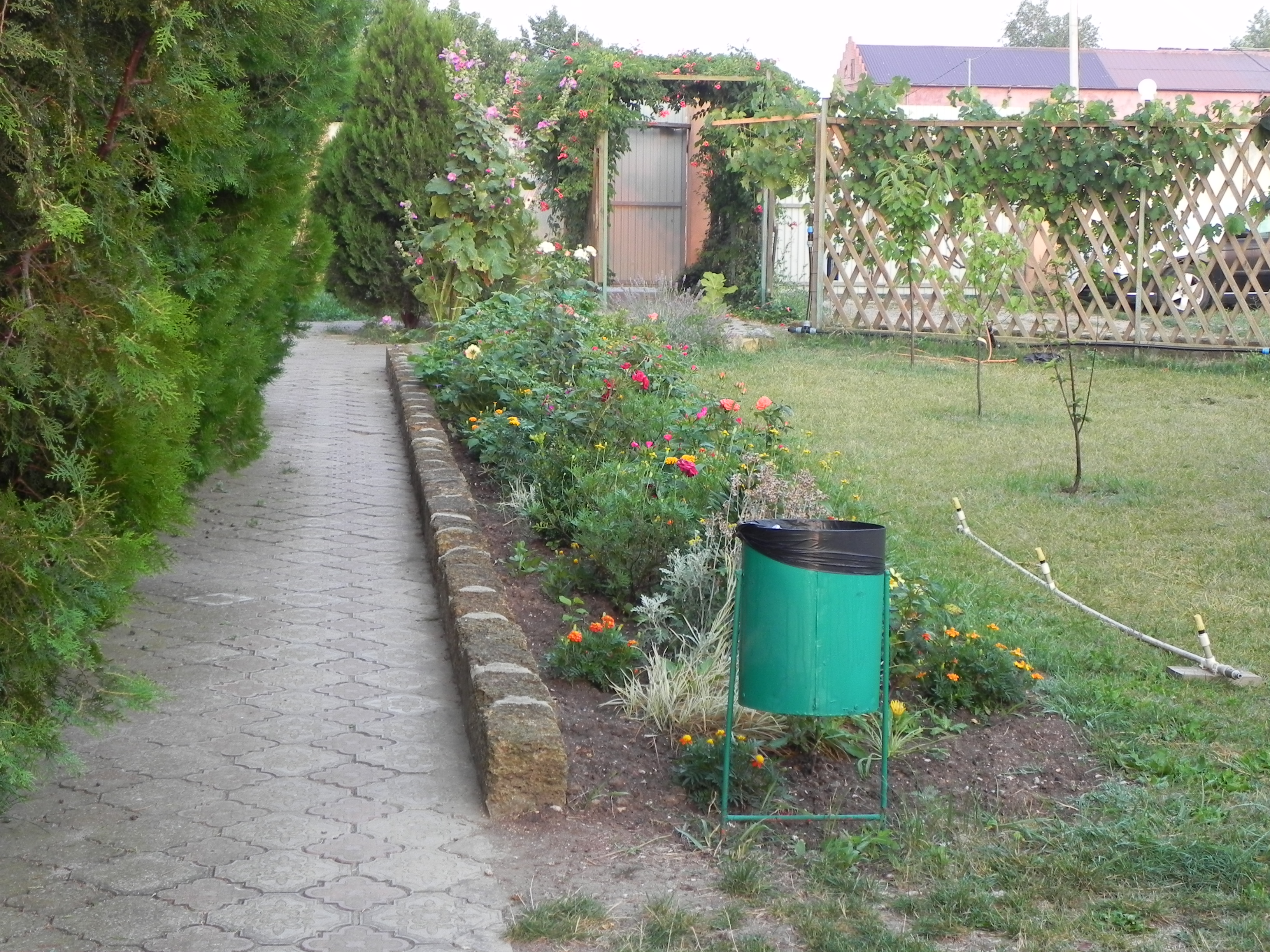 Фото Фанни Вероника