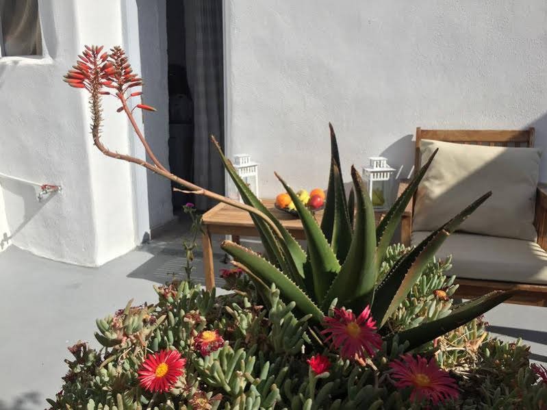 Фото Sea & Sky Villa