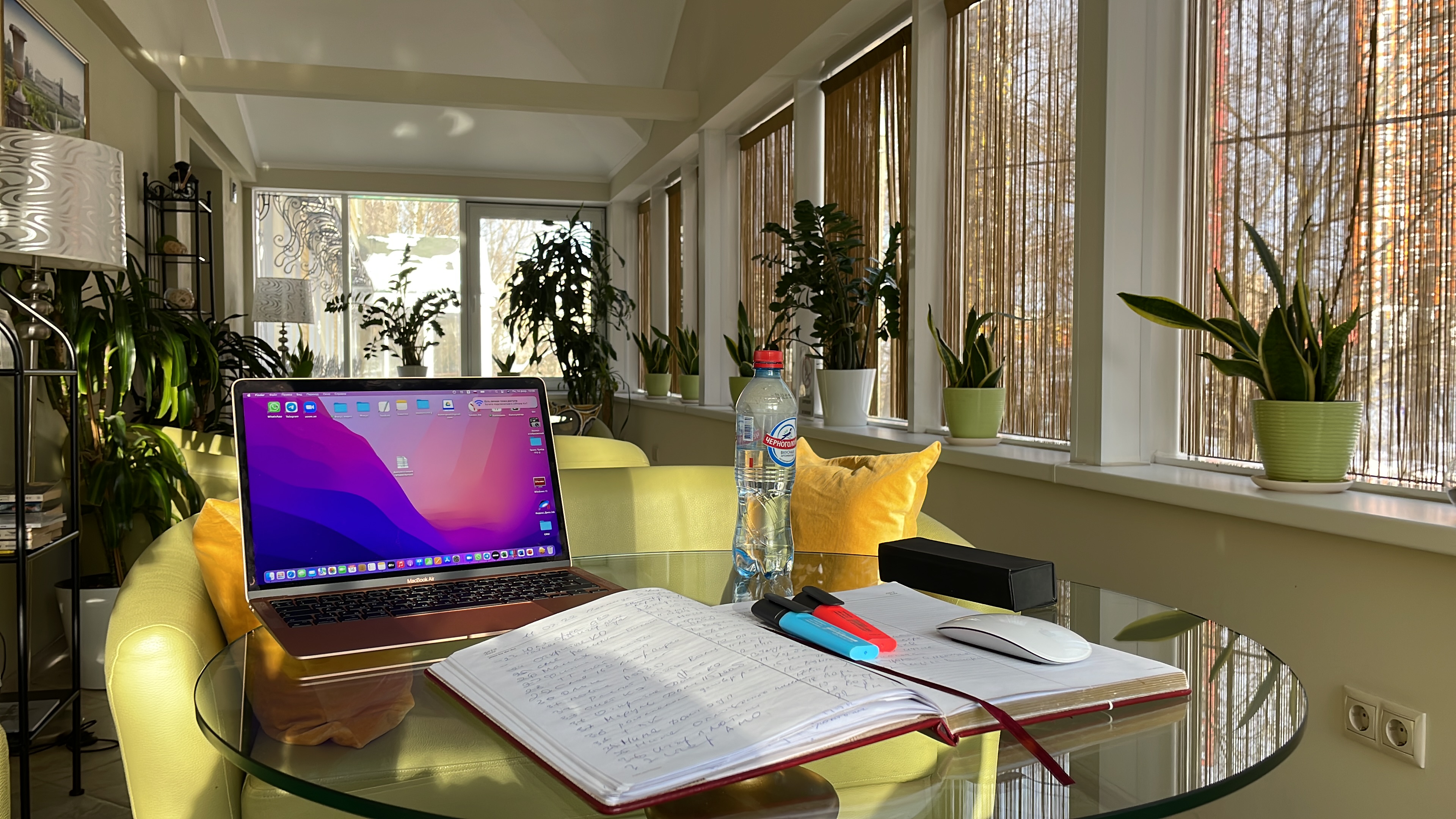 Фото Клевер