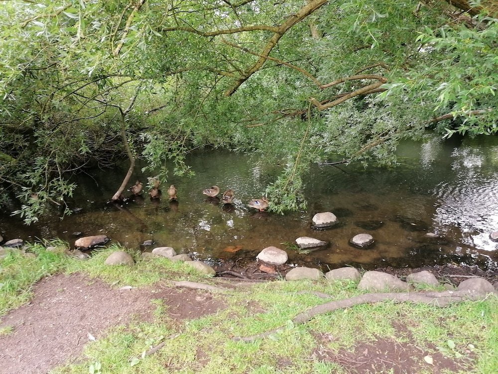 Фото Ribe Guesthouse