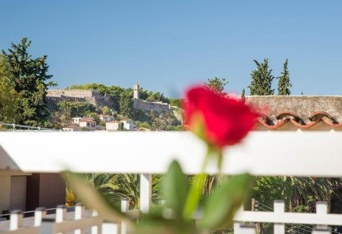 Фото Hotel Elenas