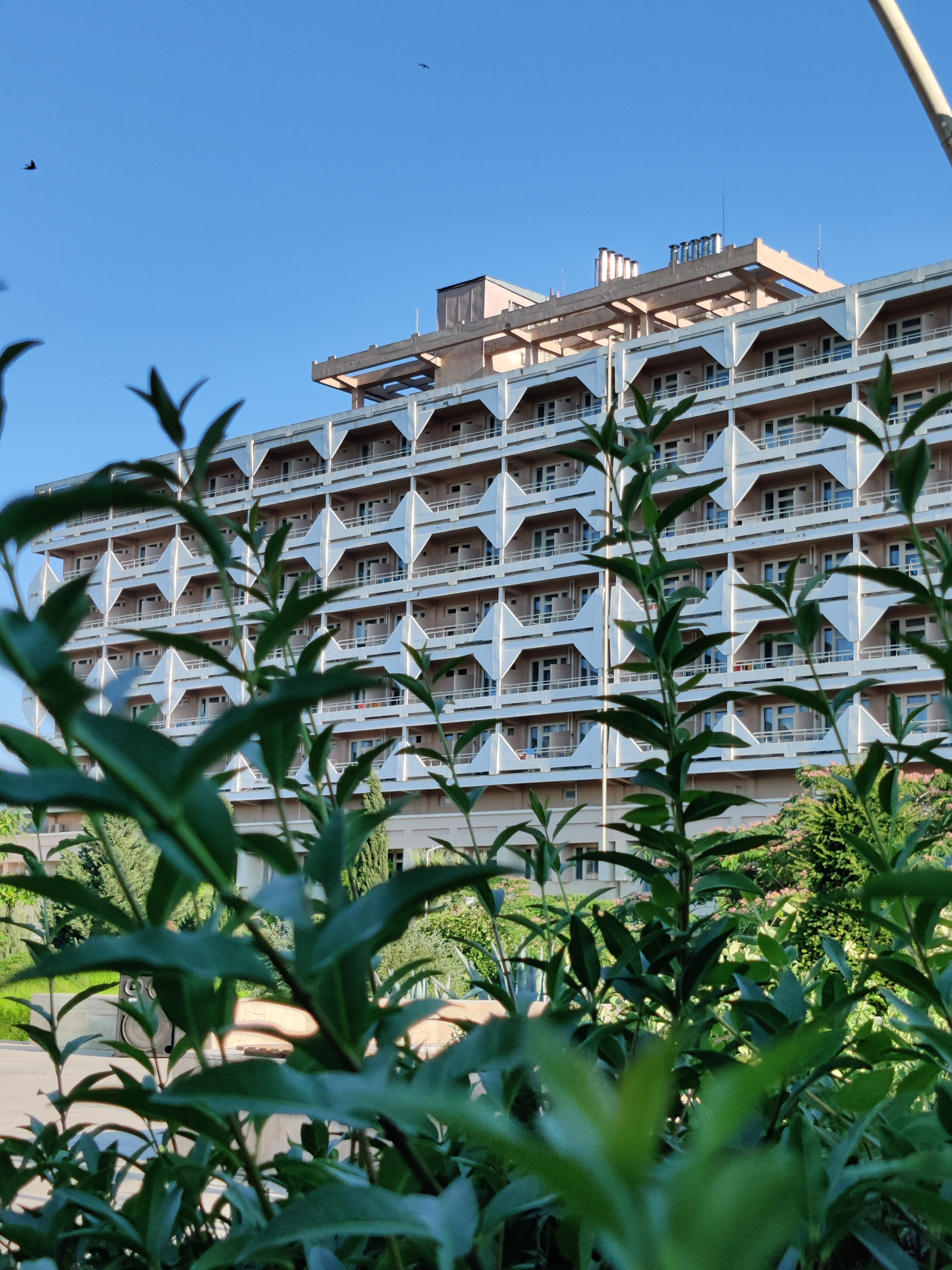 Фото Планета