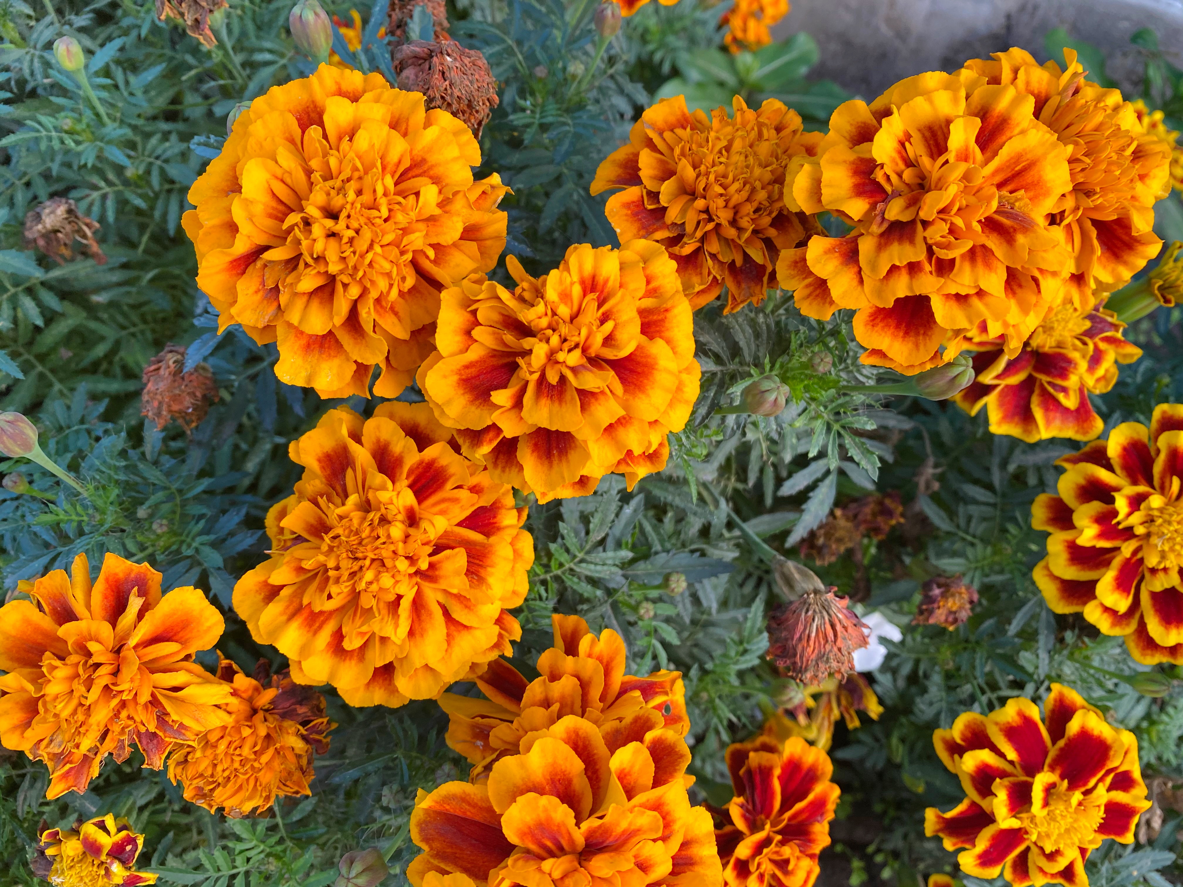 Фото Виктория