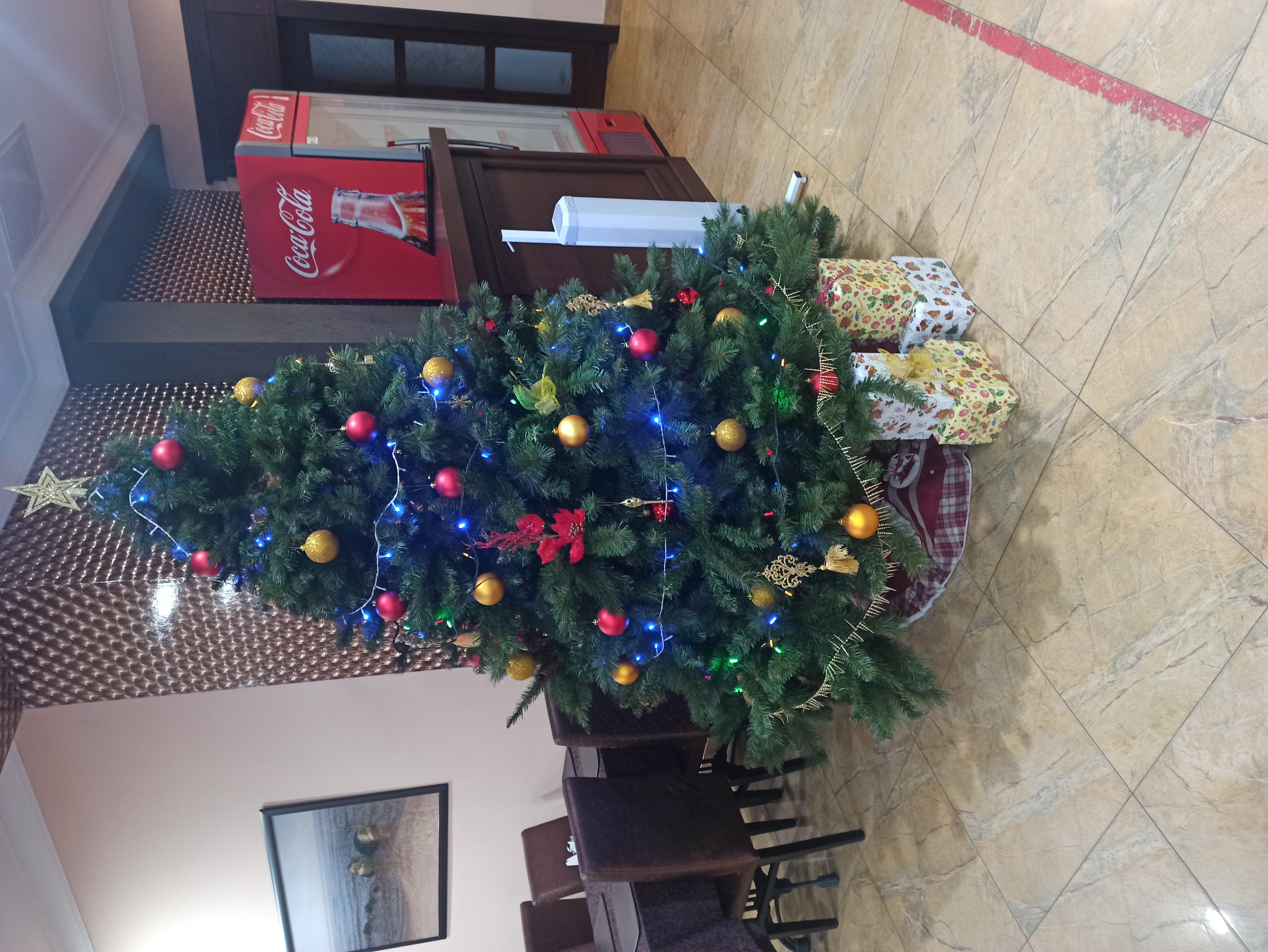 Фото Аврора