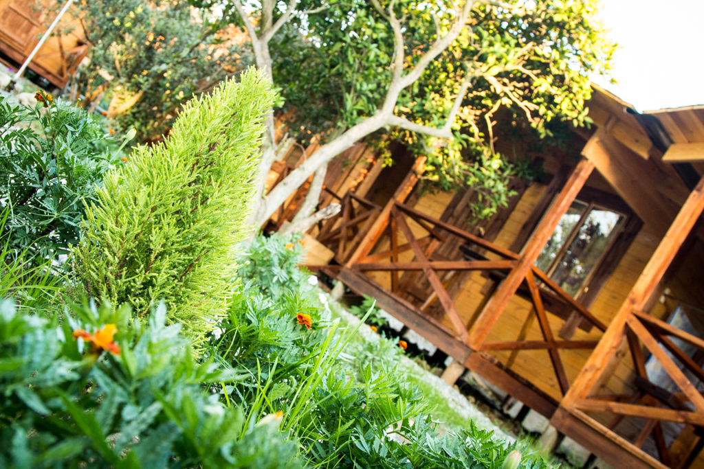 Фото Теремки