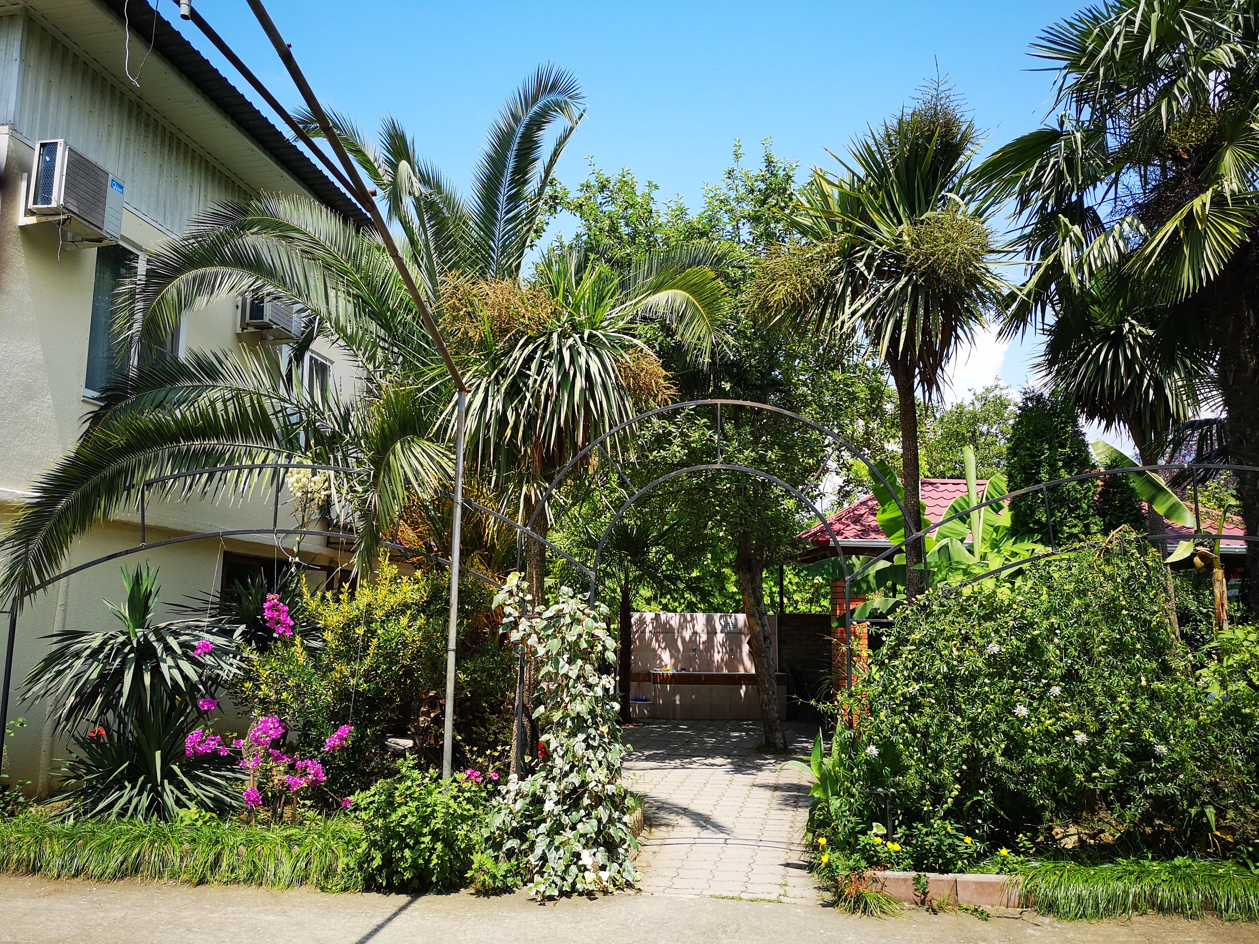 Фото Форелька