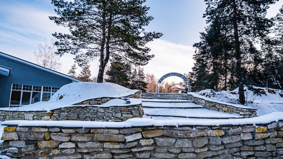 Фото Лесная история