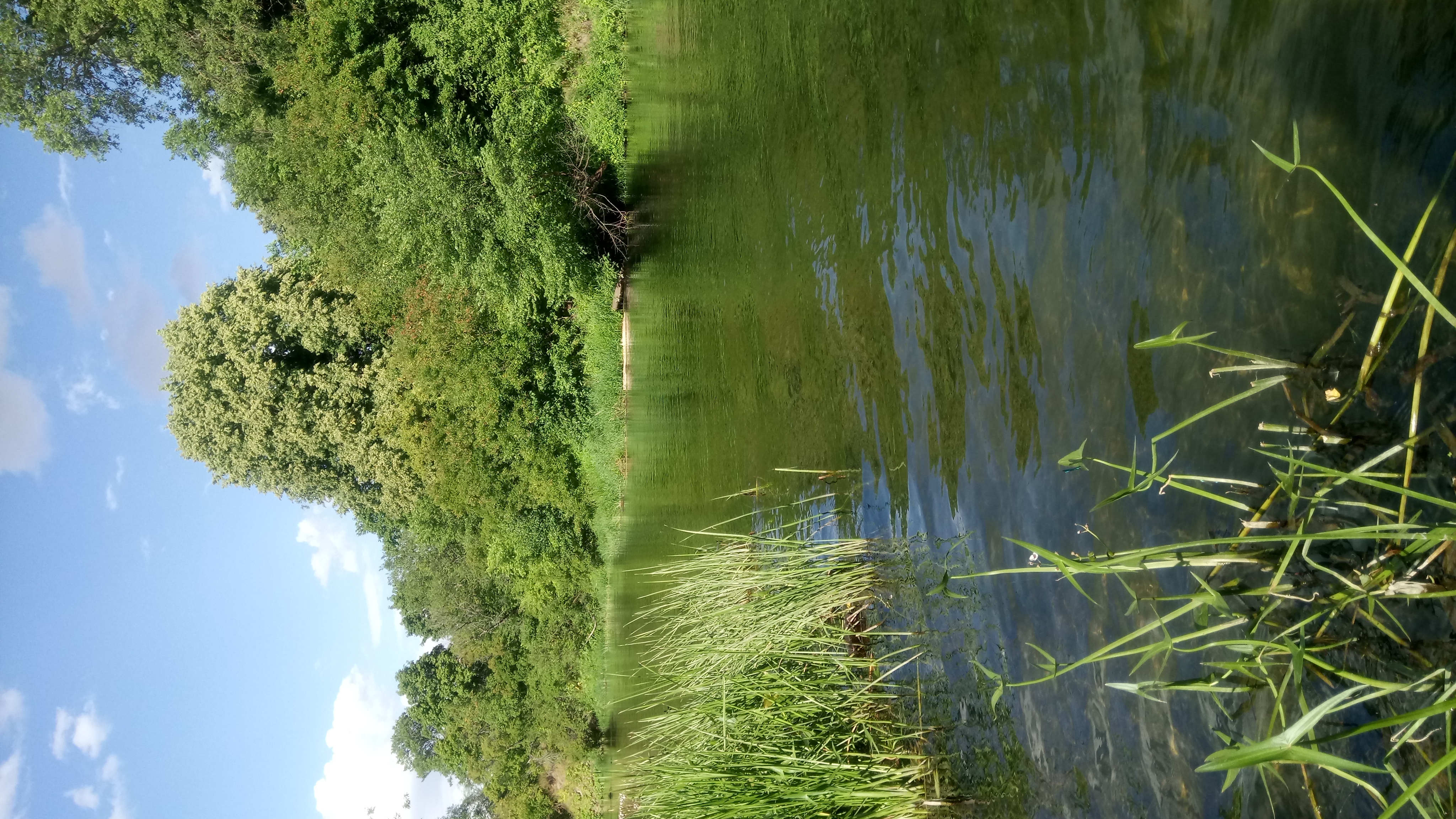 Фото База в Приречном