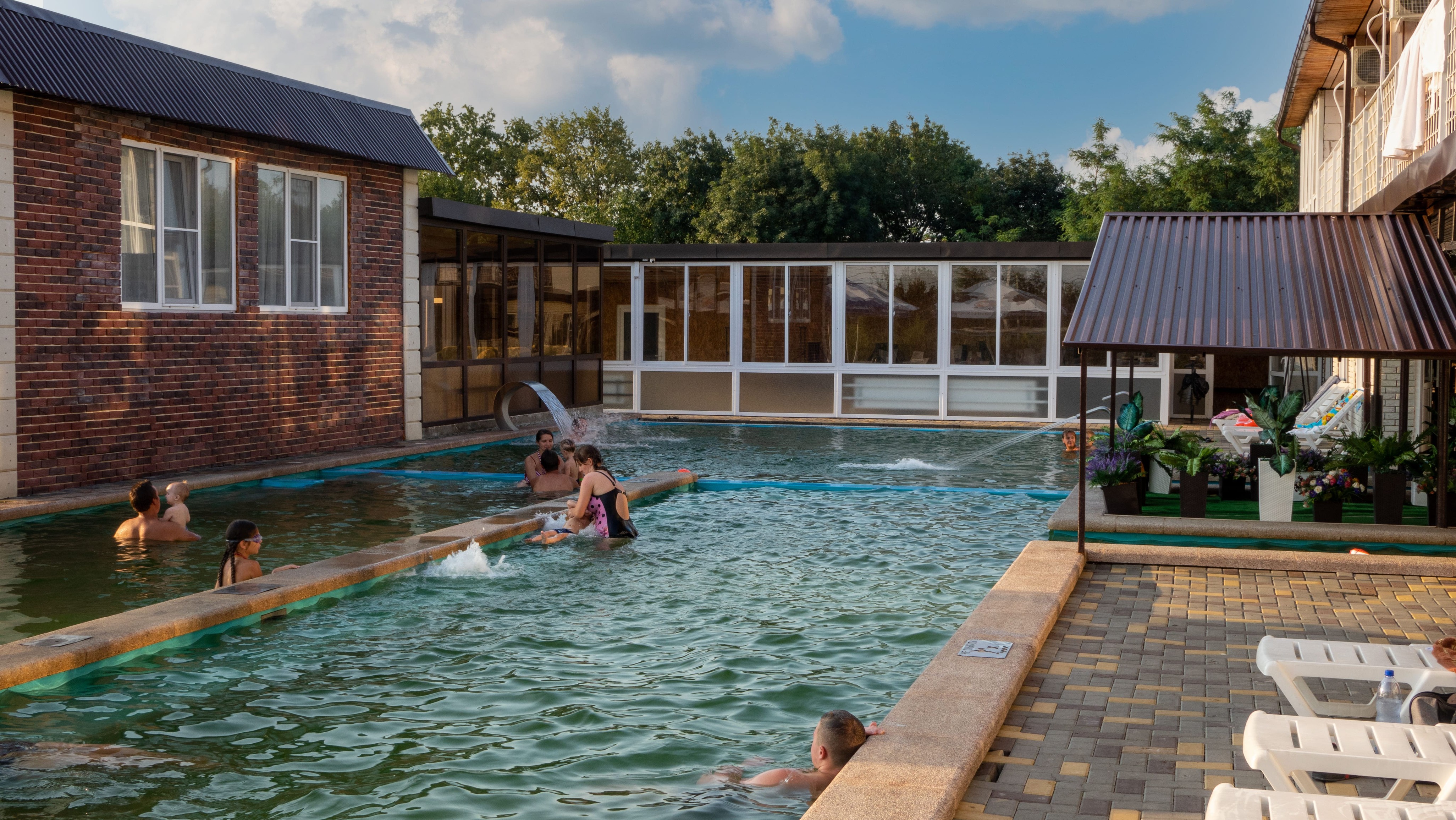 Фото Золотая рыбка