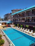 Klim (Pionerskiy prospekt, 64Б), hotel