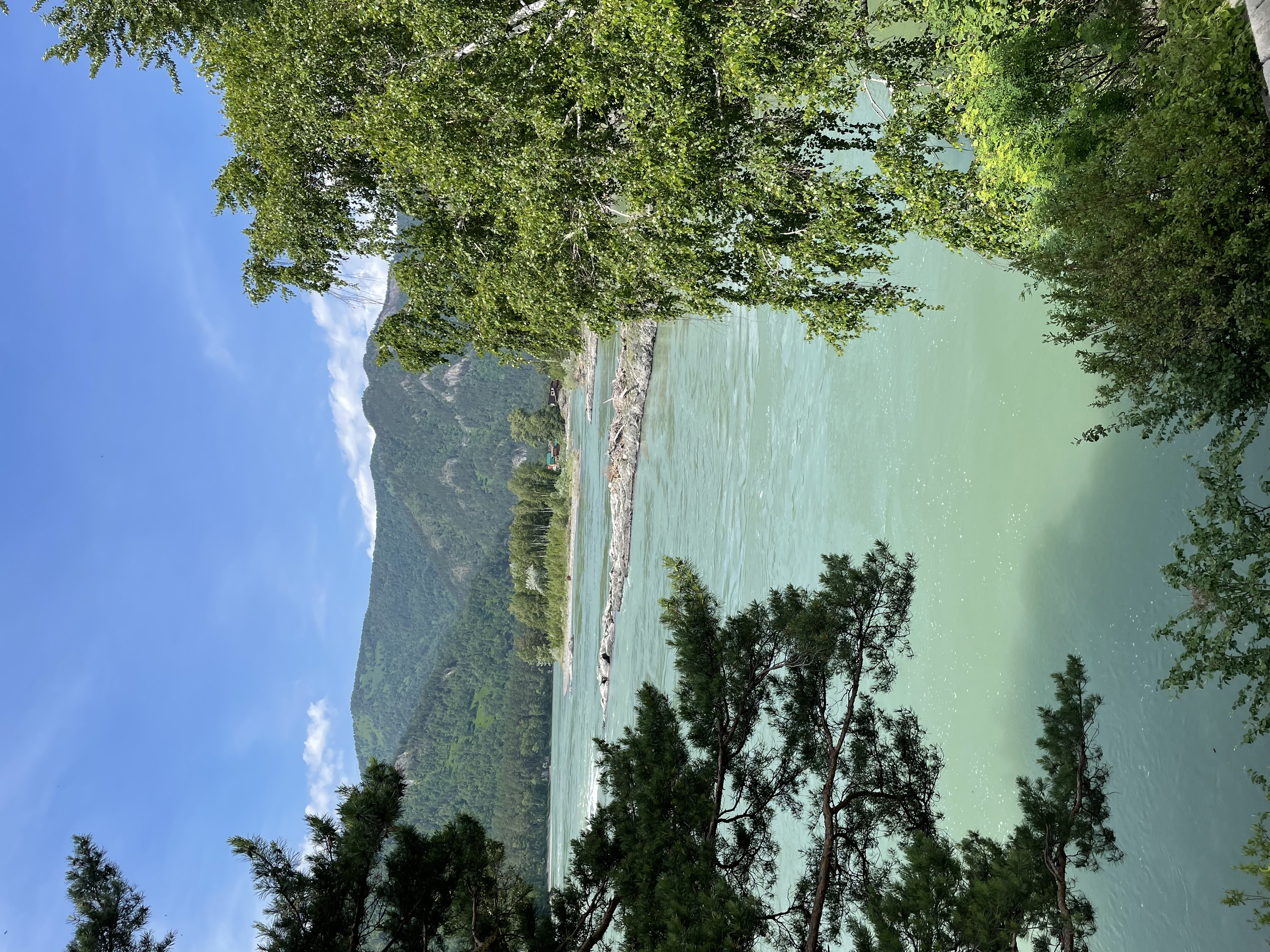 Фото Альбатрос