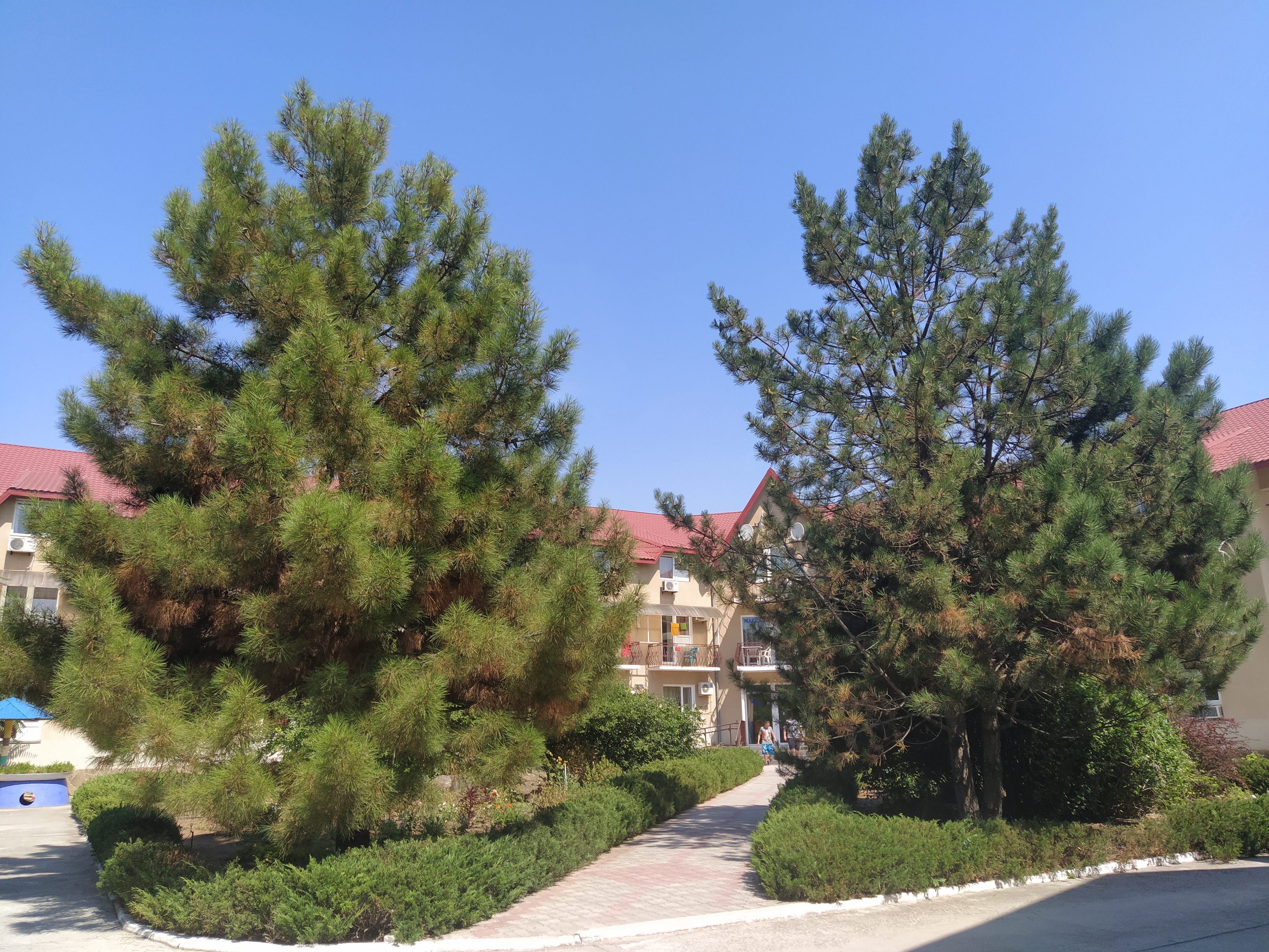 Фото Танжер