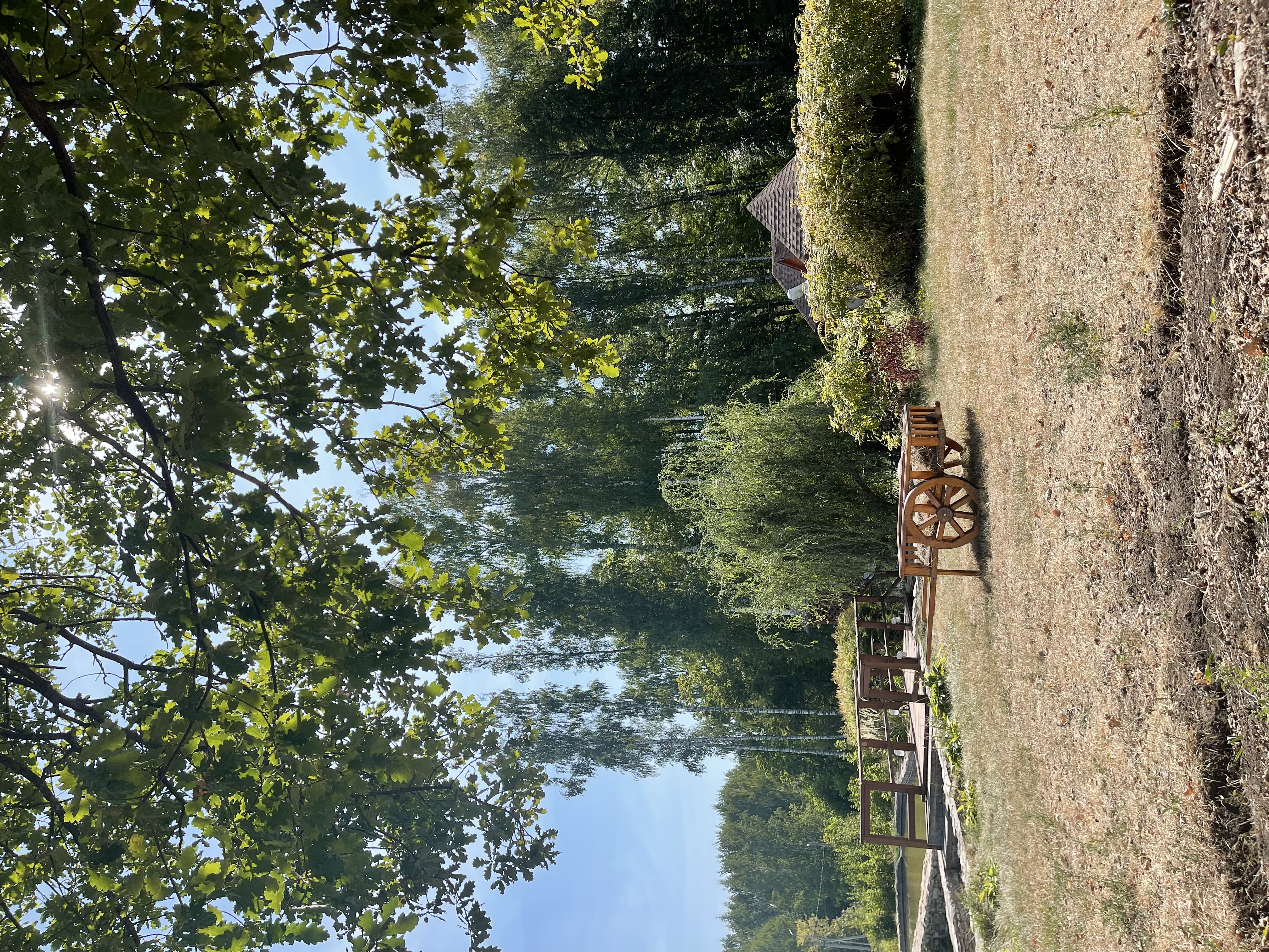 Фото Крутушка