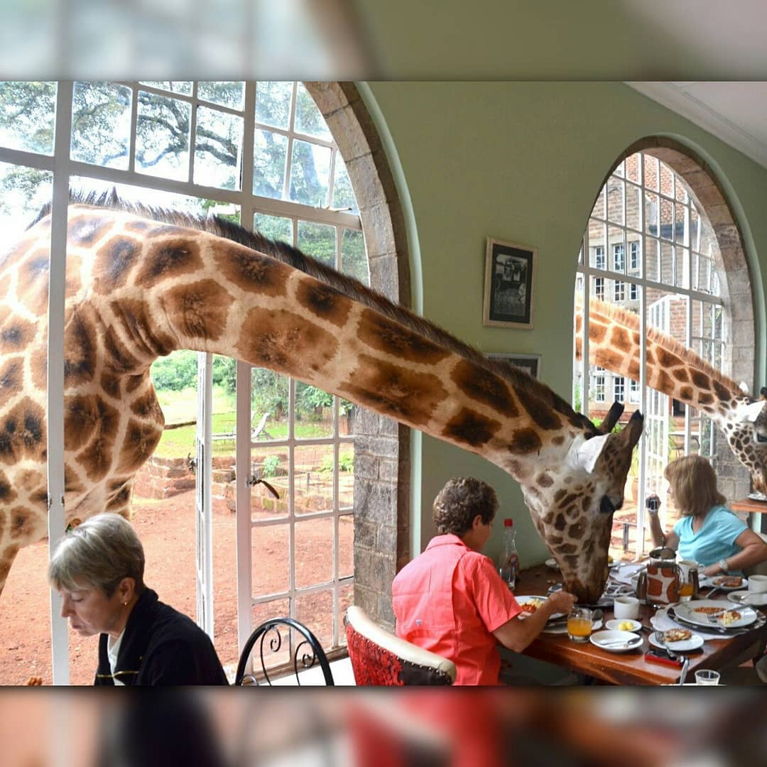 Фото Кызыл Жар