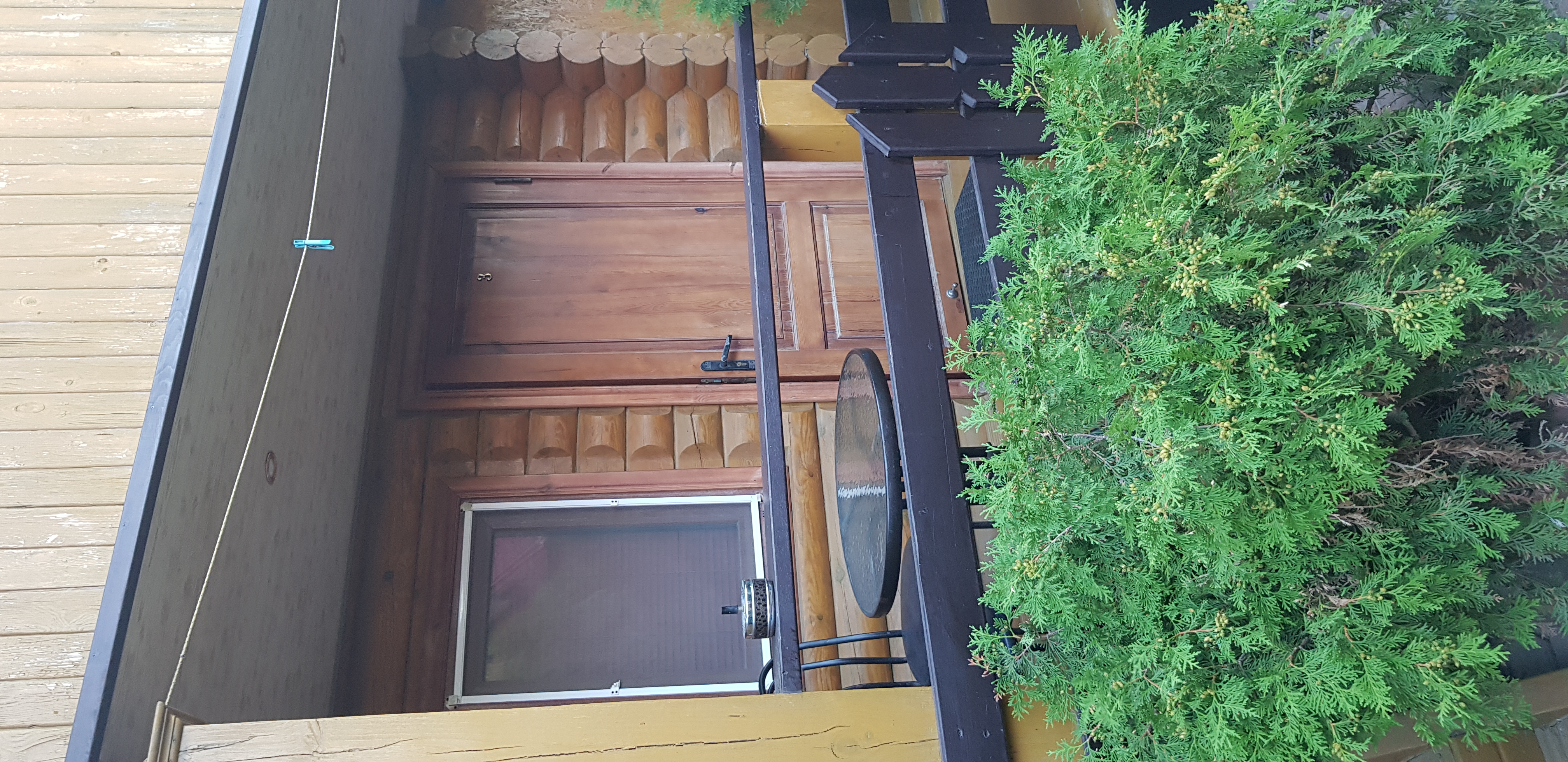 Фото Калипсо