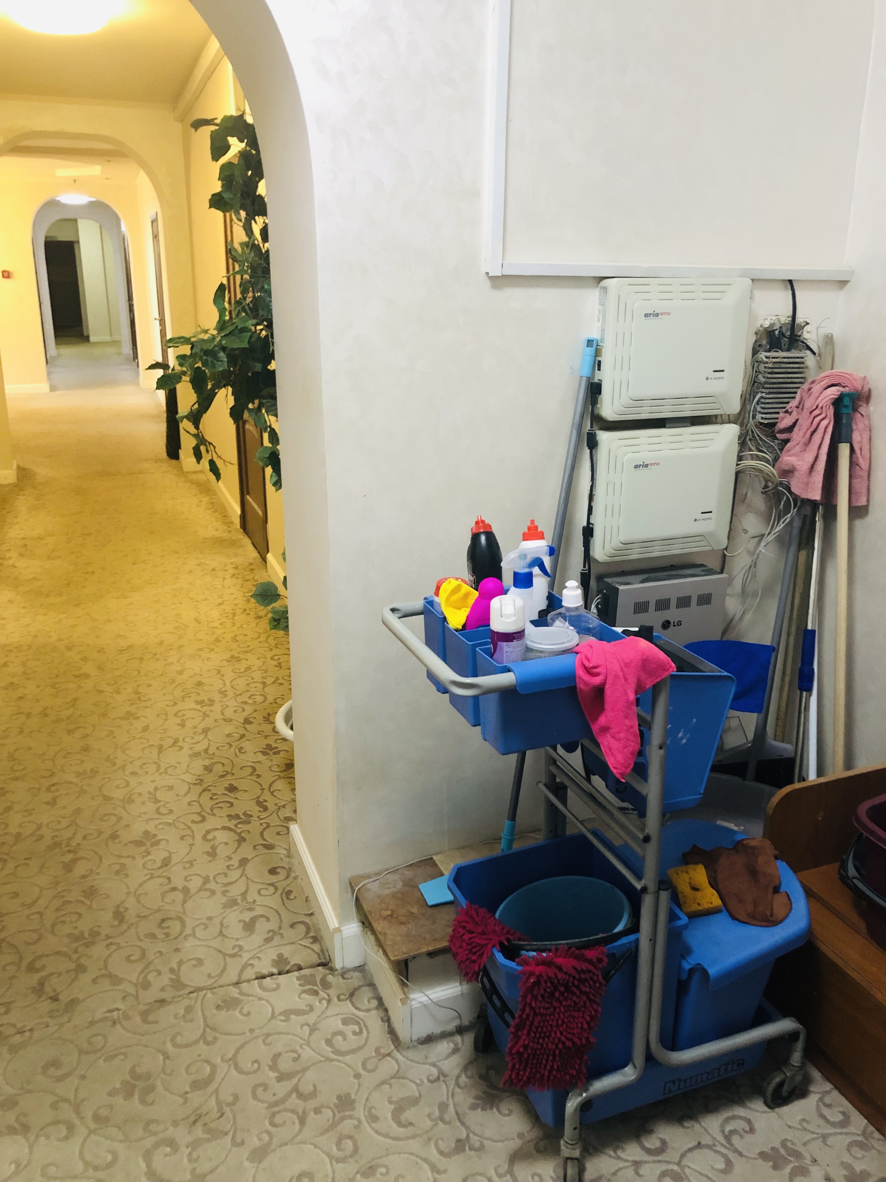 Фото Арманд