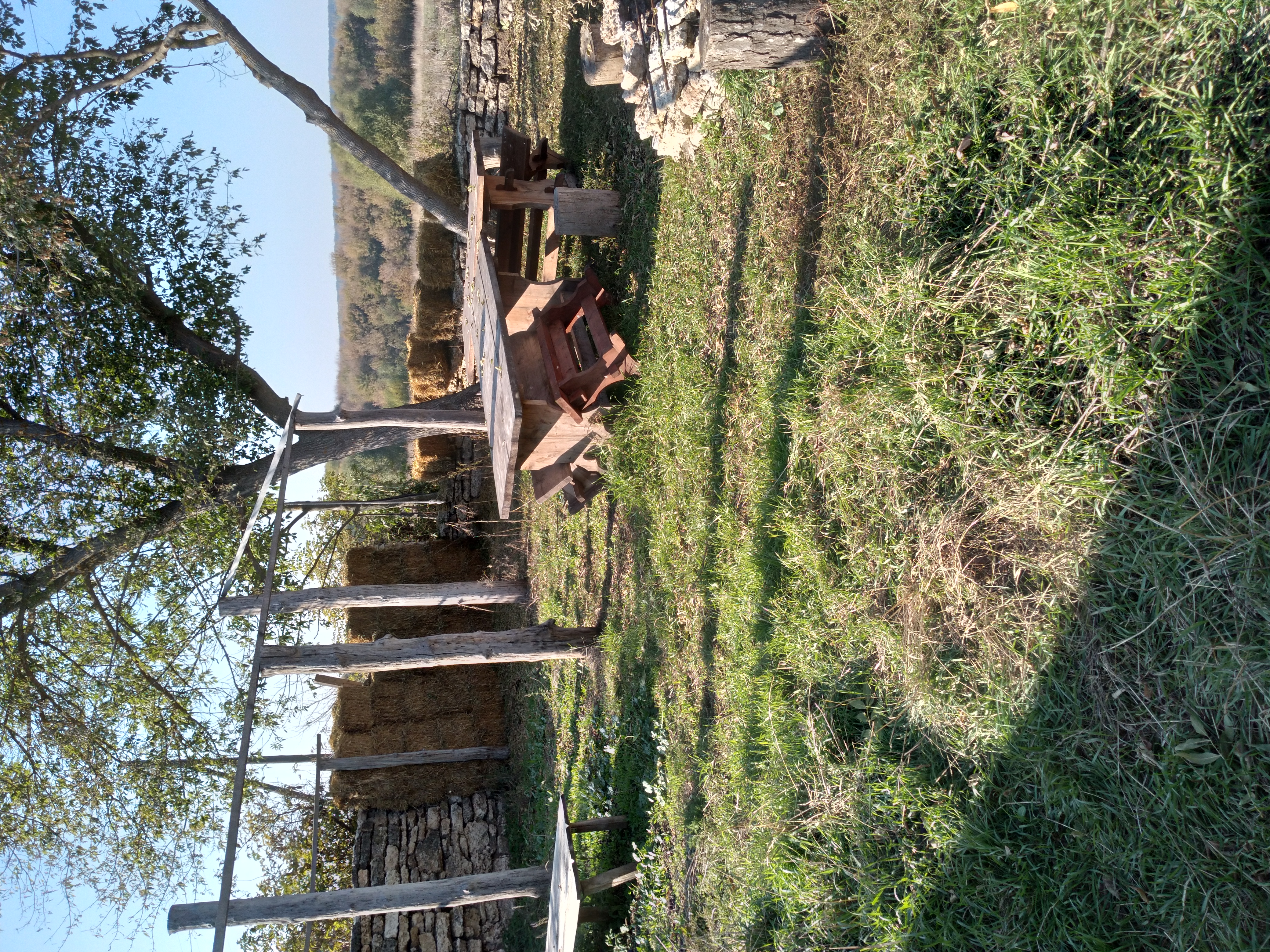 Фото Старая мельница