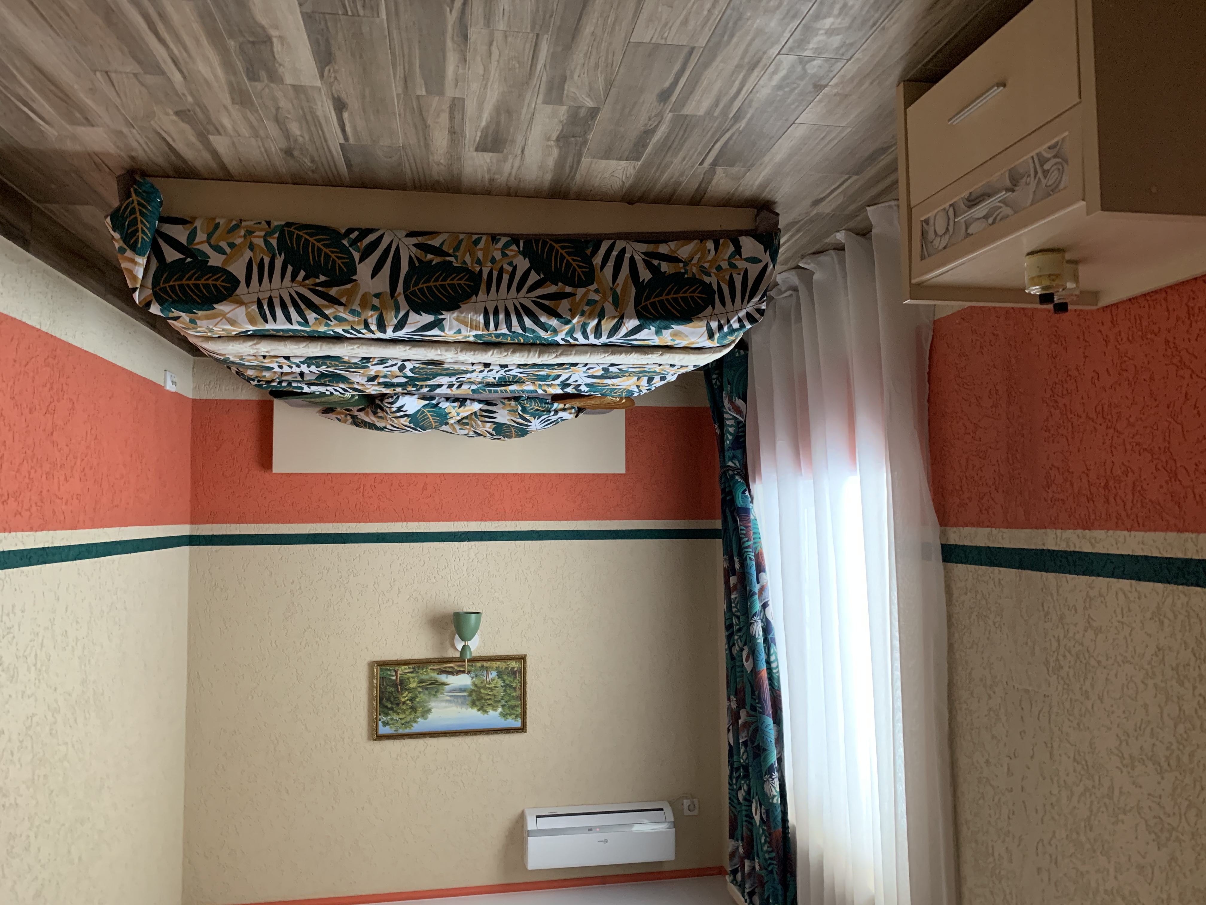 Фото Шафран