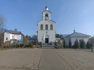 Храм святого благоверного князя Александра Невского (Гомель, ул. Ильича, 126А), православный храм в Гомеле