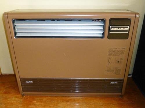 Фото Kawaguchiko Lakeside Hotel