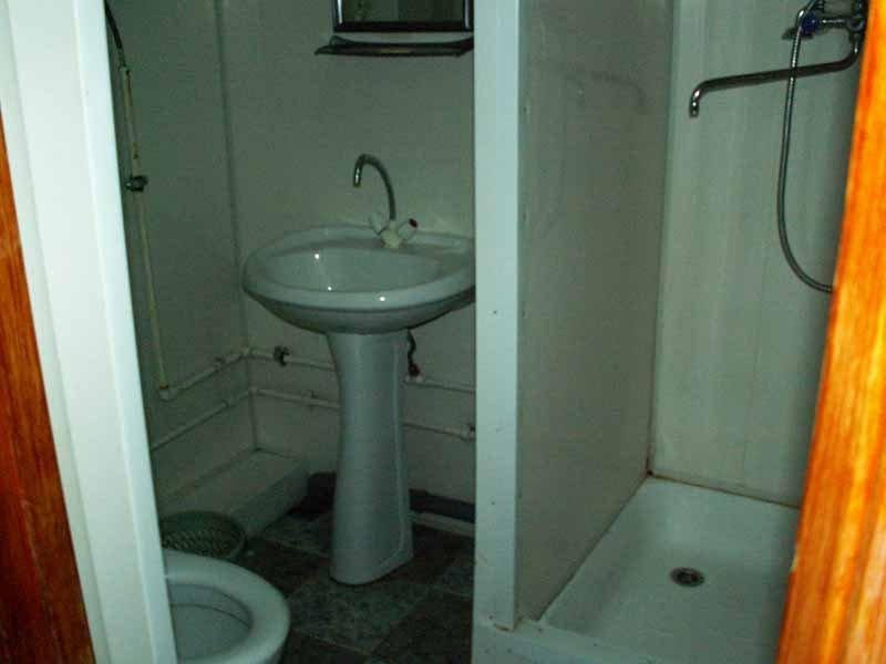 Фото Колосок