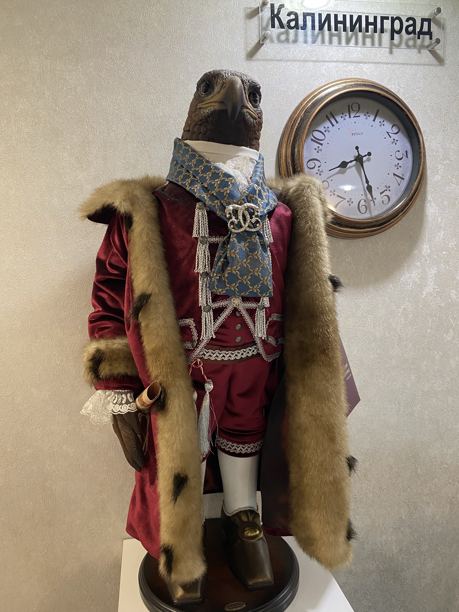 Фото Континент