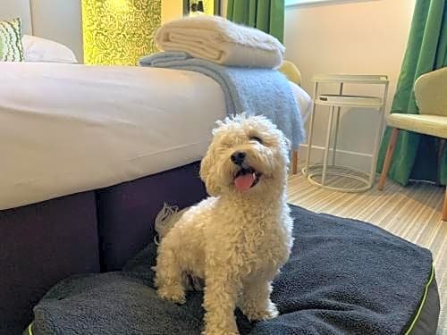 Фото The Maids Head Hotel