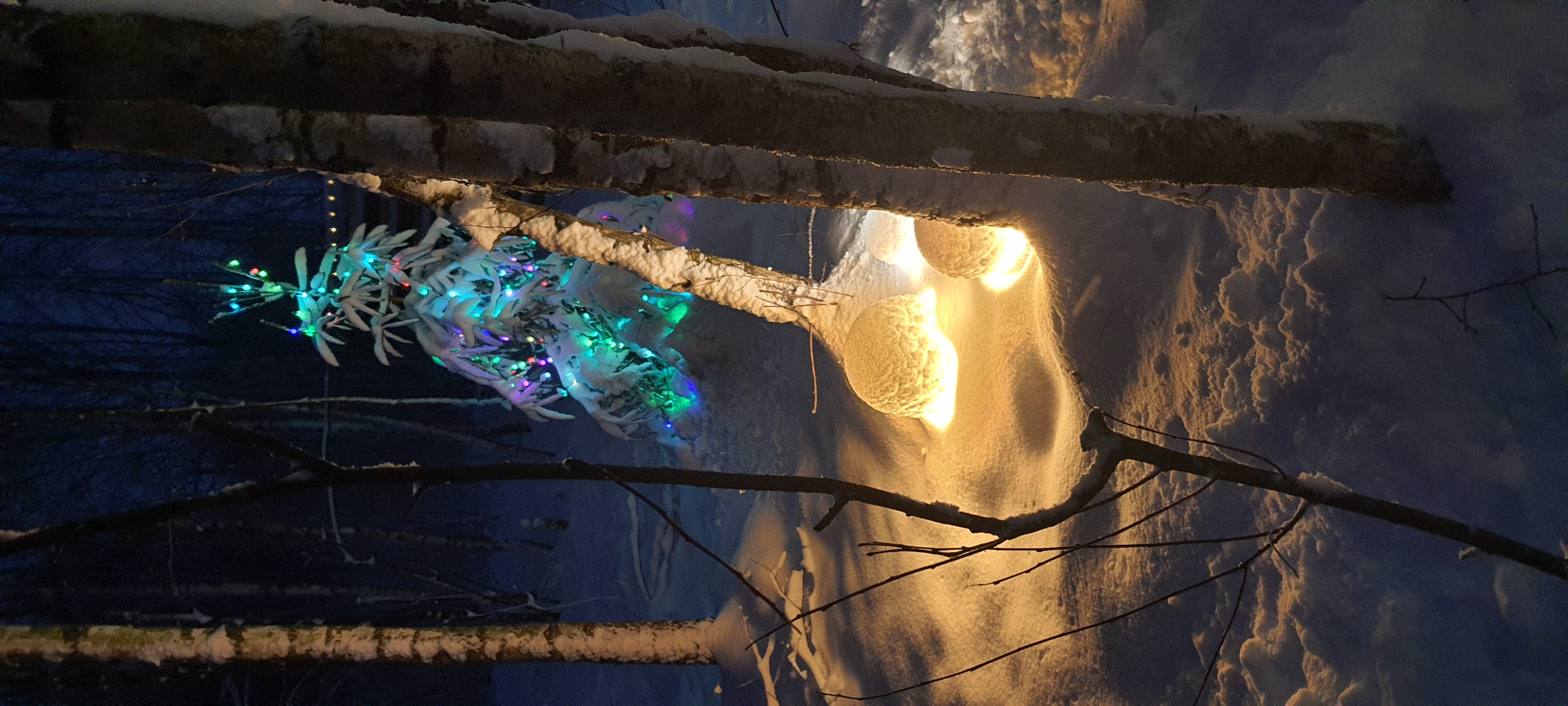 Фото Эко-горный