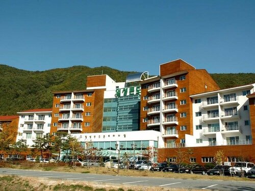 Гостиница Muju Ilsung Condo в Чолла-Пукто