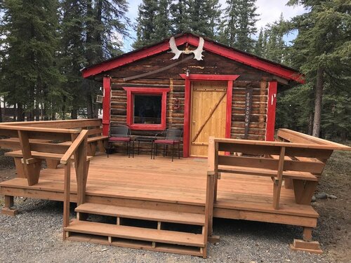 Гостиница Fox 'n Fireweed Cabins в Токе